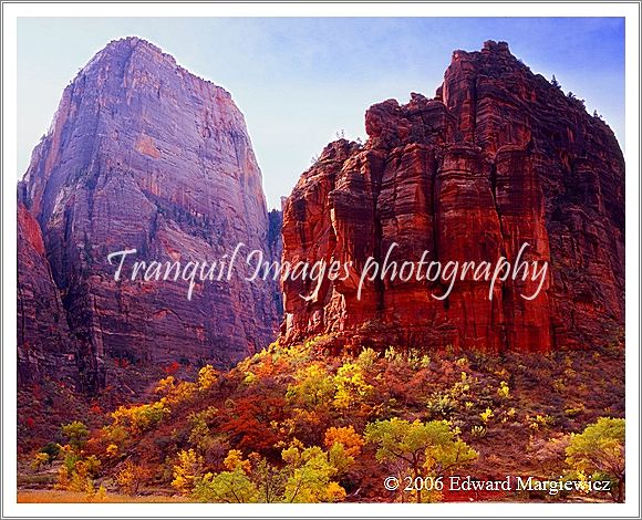 450156---The Great White Throne and Organ Pipes